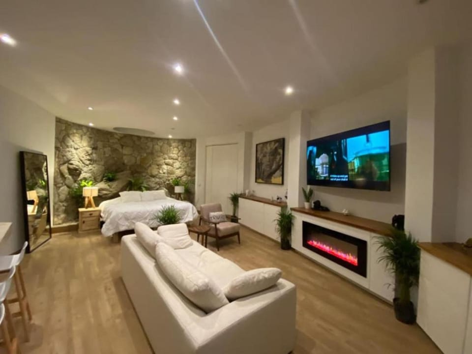 Communal lounge/ TV room, Bed, TV and multimedia, Living room, Photo of the whole room, Seating area, Evening entertainment, Bedroom