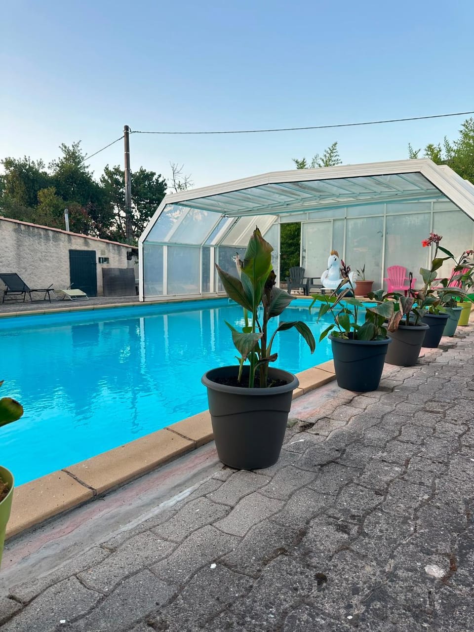 Garden, Swimming pool, sunbed