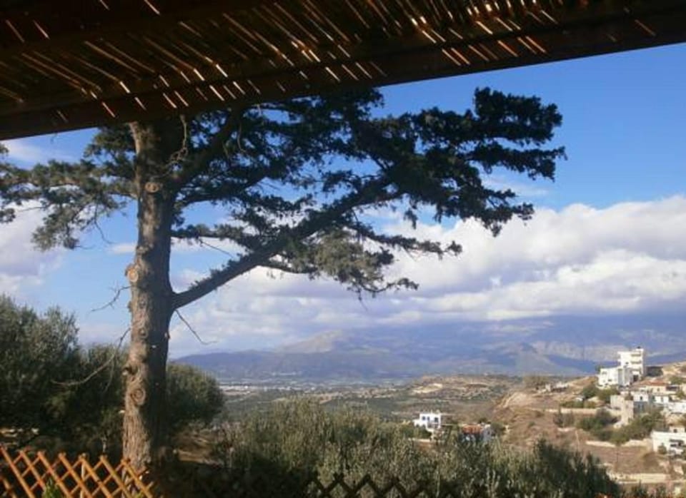 View (from property/room), Area and facilities