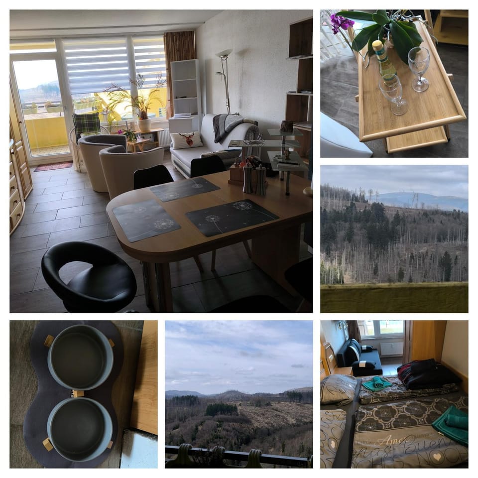 Waldperle Brockenblick im Panoramic Oberharz Apartment in Braunlage