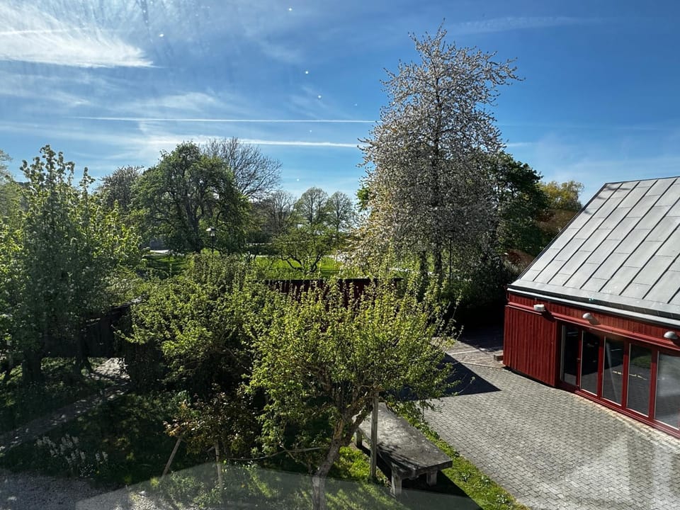 Property building, Garden, Garden view