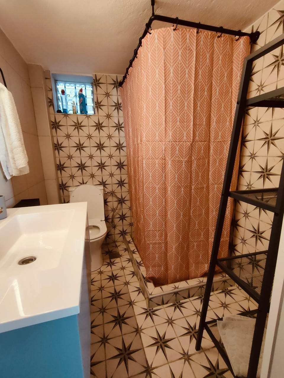 Shower, Toilet