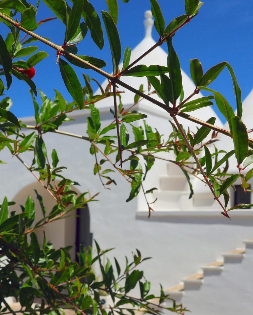 Property building, Garden view