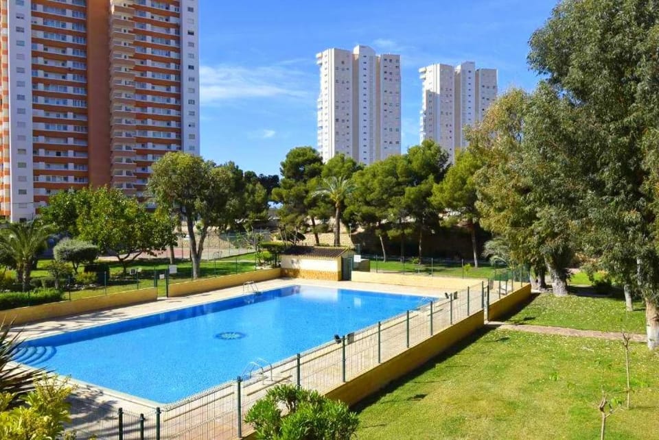 Garden, Swimming pool