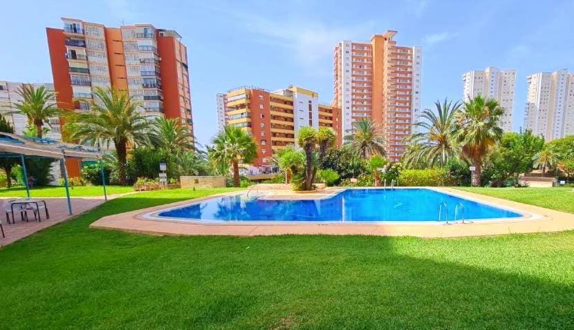 Garden, Swimming pool