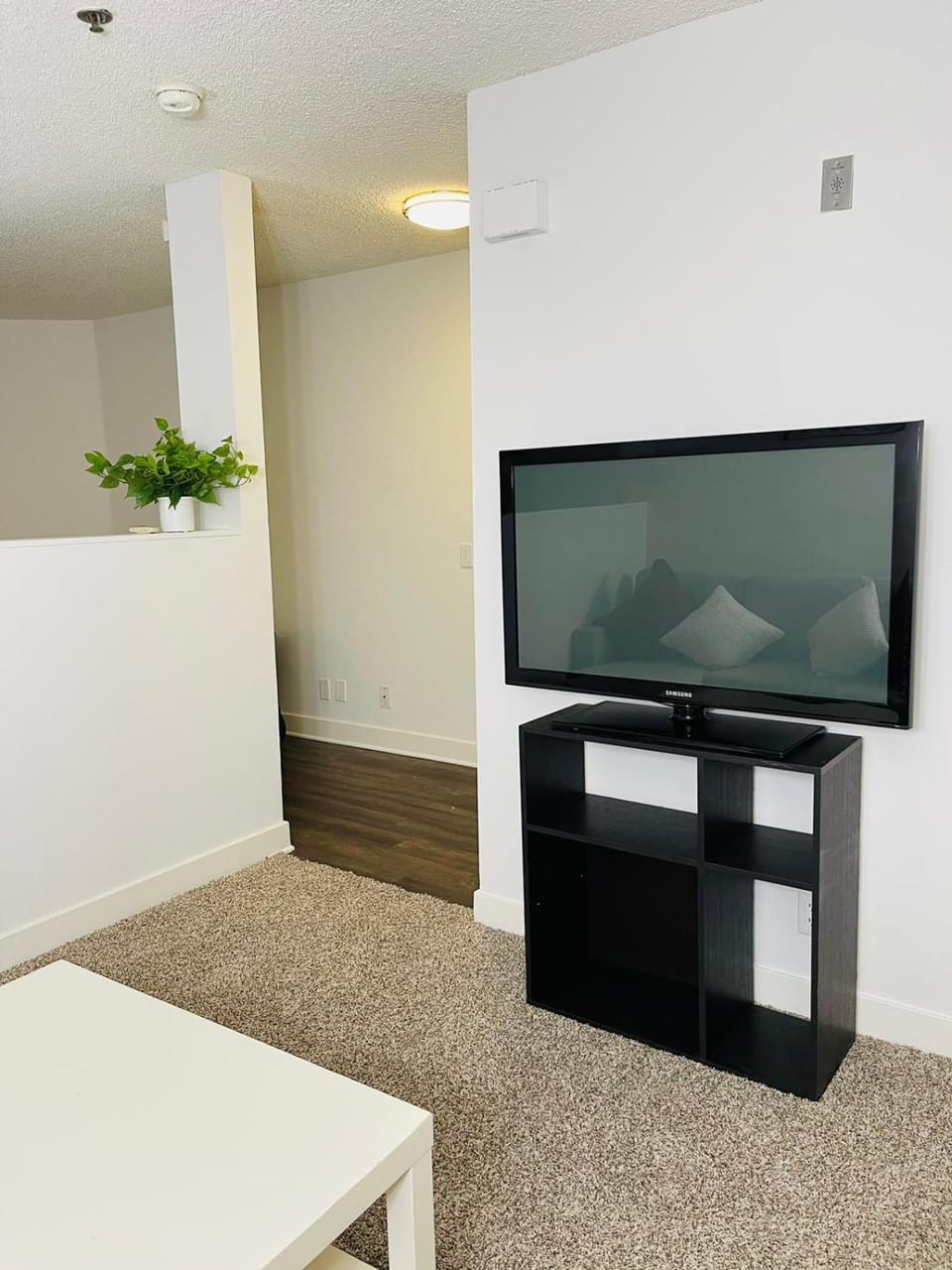 Right in the Hollywood Blvd Loft Apartment Apartment in Hollywood