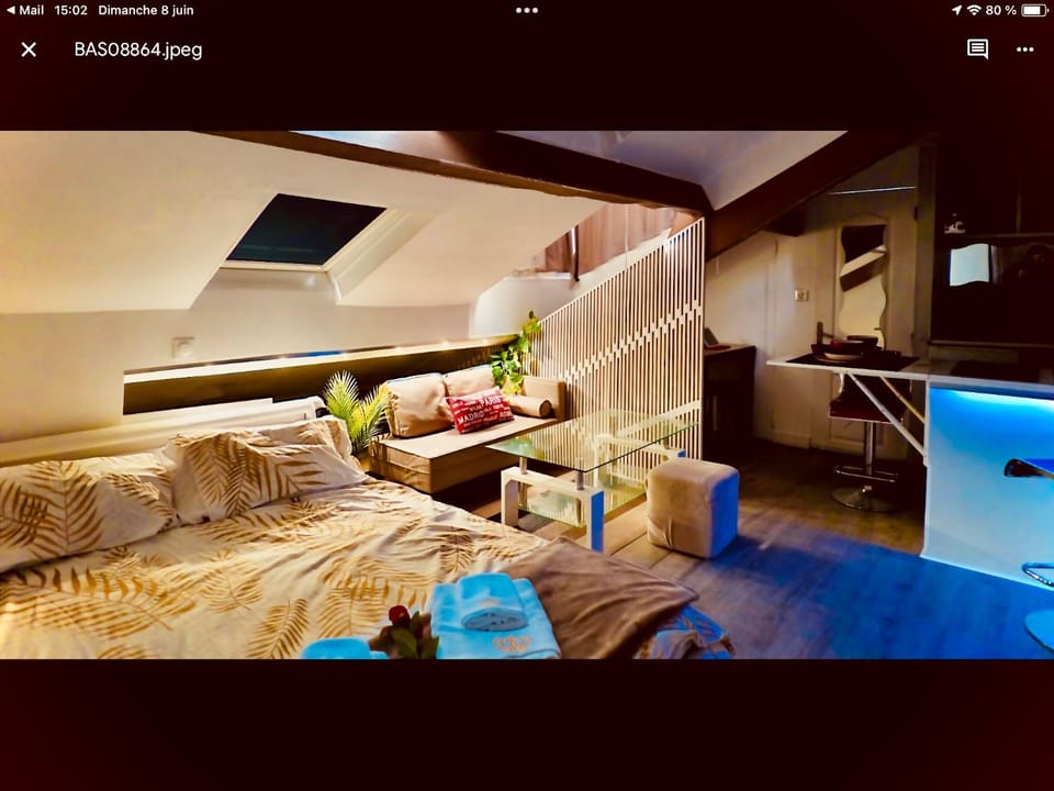 Studio atypique central mais calme, quartier VIP, plage 50m Apartment in Nice
