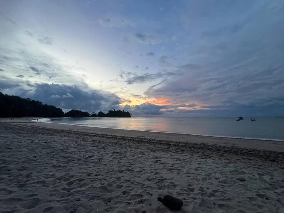 Natural landscape, Beach, Sunset
