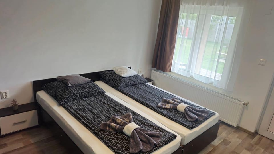 Pensiunea Andusia Bed and Breakfast in Hungary