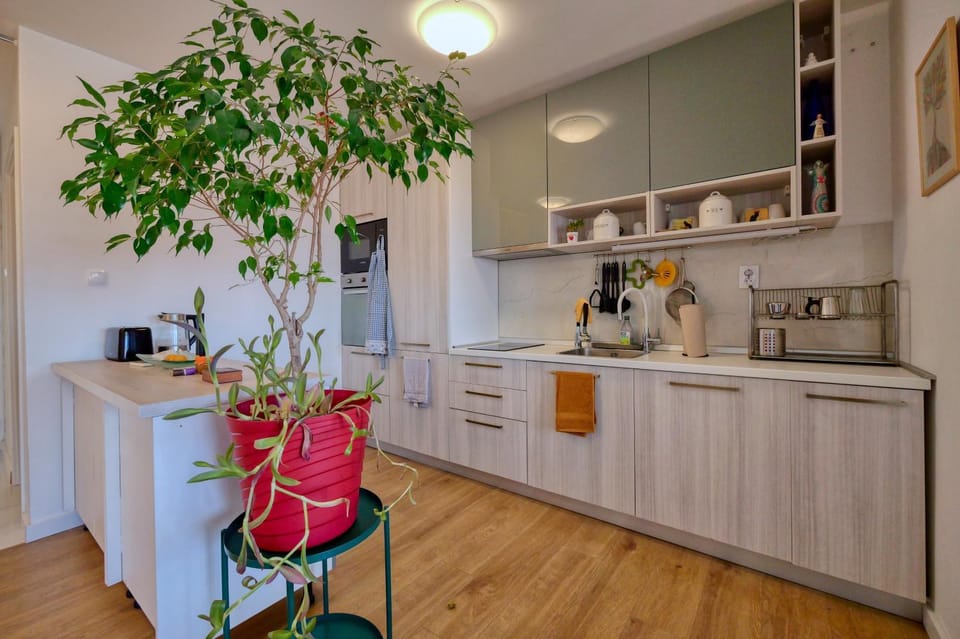 dishwasher, oven, stove, kitchen