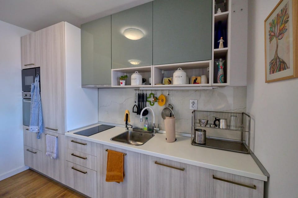 Kitchen or kitchenette, dishwasher, oven, stove