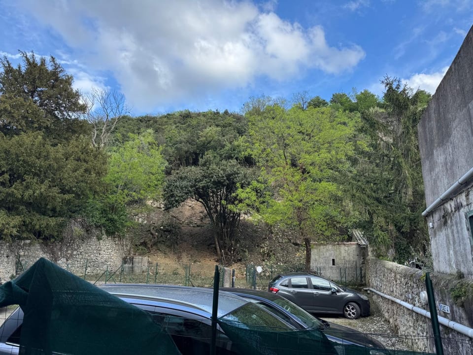 View (from property/room)