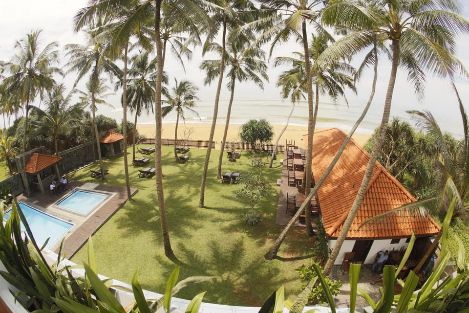 Spring, Day, Natural landscape, Bird's eye view, Garden, View (from property/room), Other, Garden view, Pool view, Swimming pool, sunbed