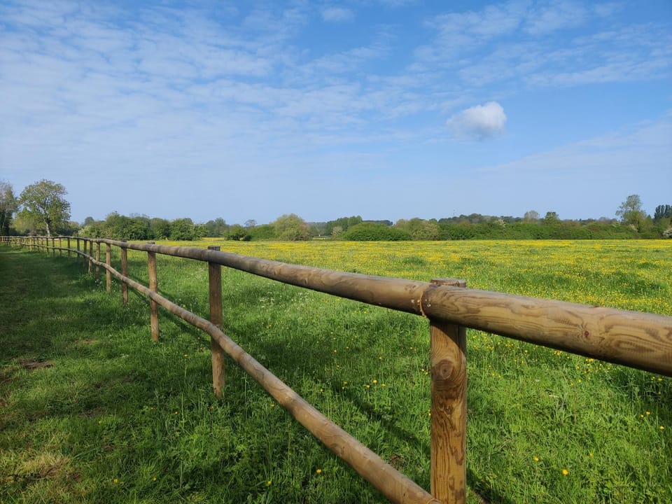 Natural landscape