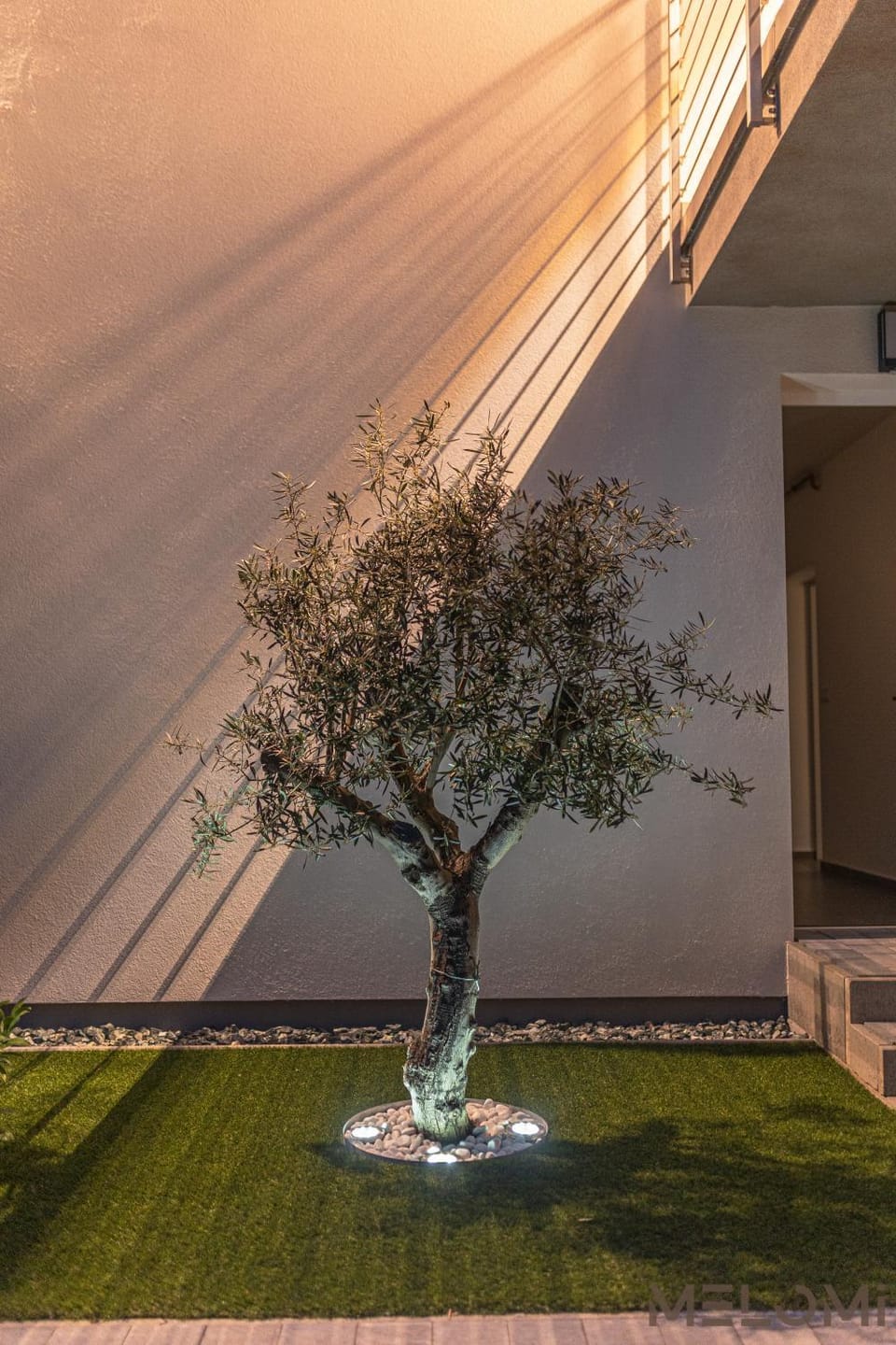 Garden view
