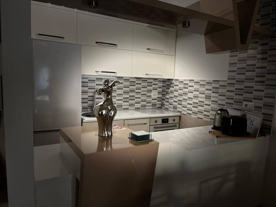 Kitchen or kitchenette, kitchen