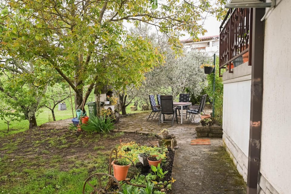 Patio, Garden view