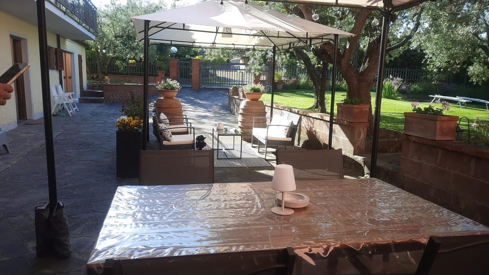 Patio, Day, Garden, Seating area, Garden view, group of guests