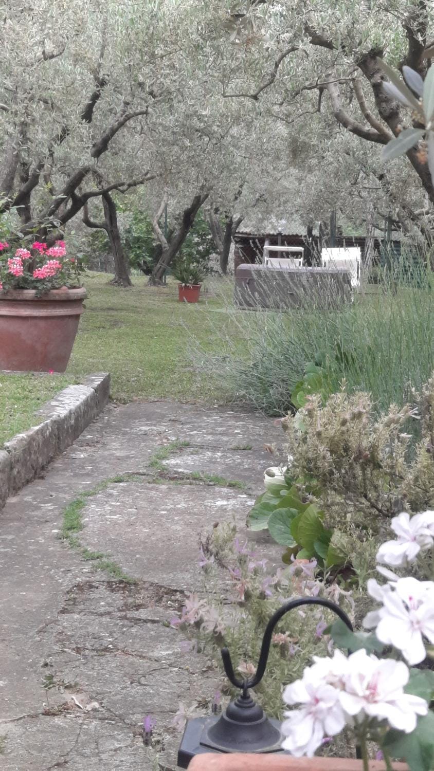 La Teodolinda Apartment in Arezzo