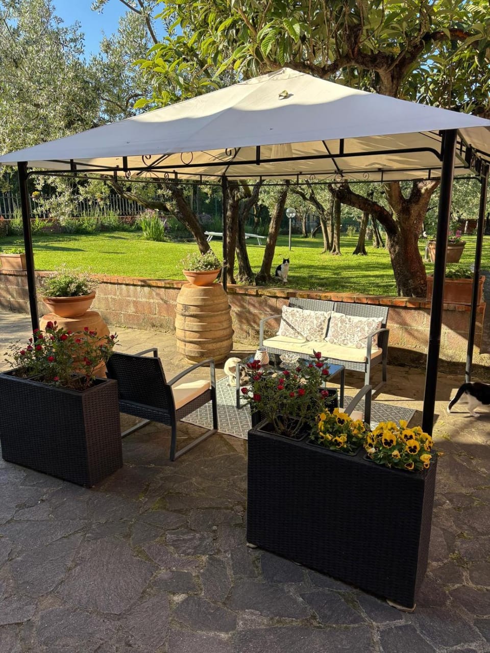 Property building, Patio, Spring, Day, Garden, Garden view