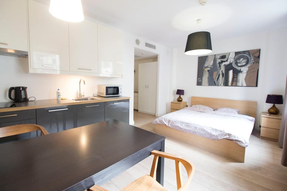 Bed, Coffee/tea facilities, Kitchen or kitchenette, Photo of the whole room, minibar, stove