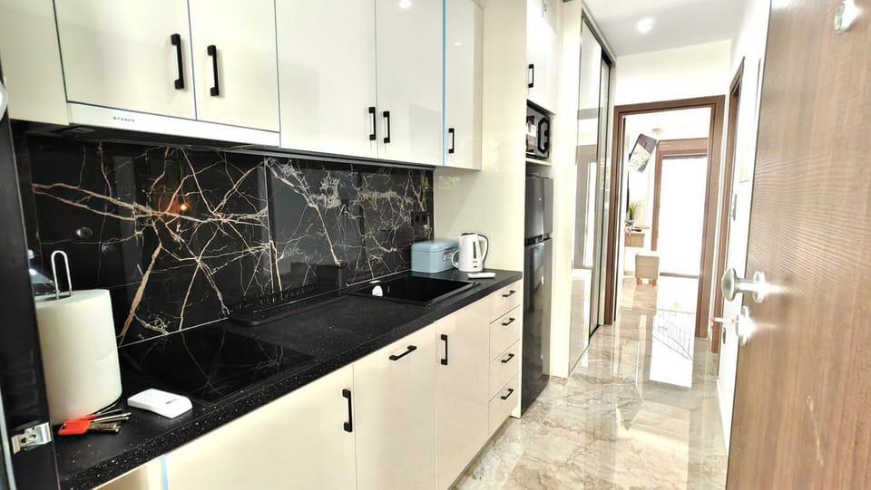 Kitchen or kitchenette, dishwasher, microwave, washing machine