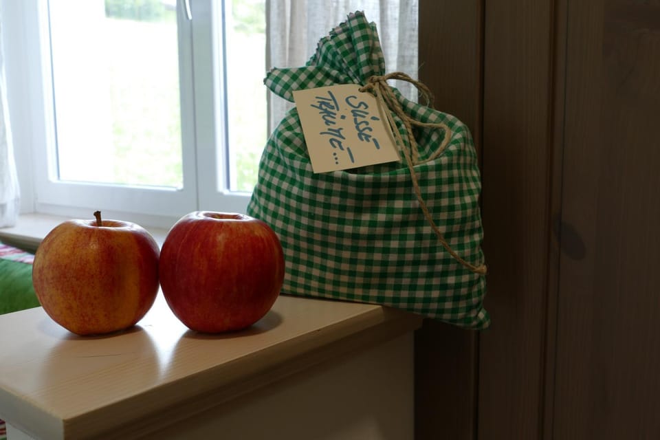 Pension Geissler-Reicher Bed and Breakfast in Styria
