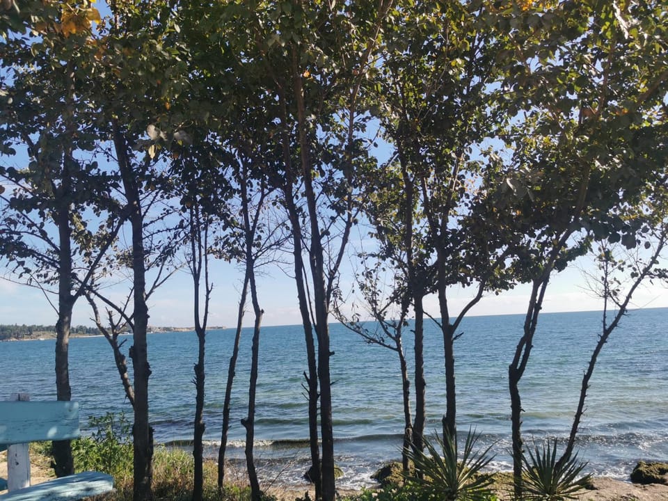 Natural landscape, Beach