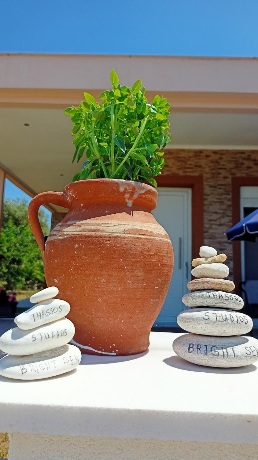 Day, Garden, Garden view