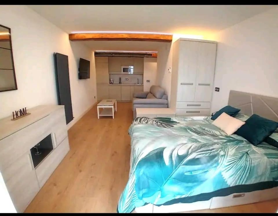 El capricho de Davila Apartment in Santander
