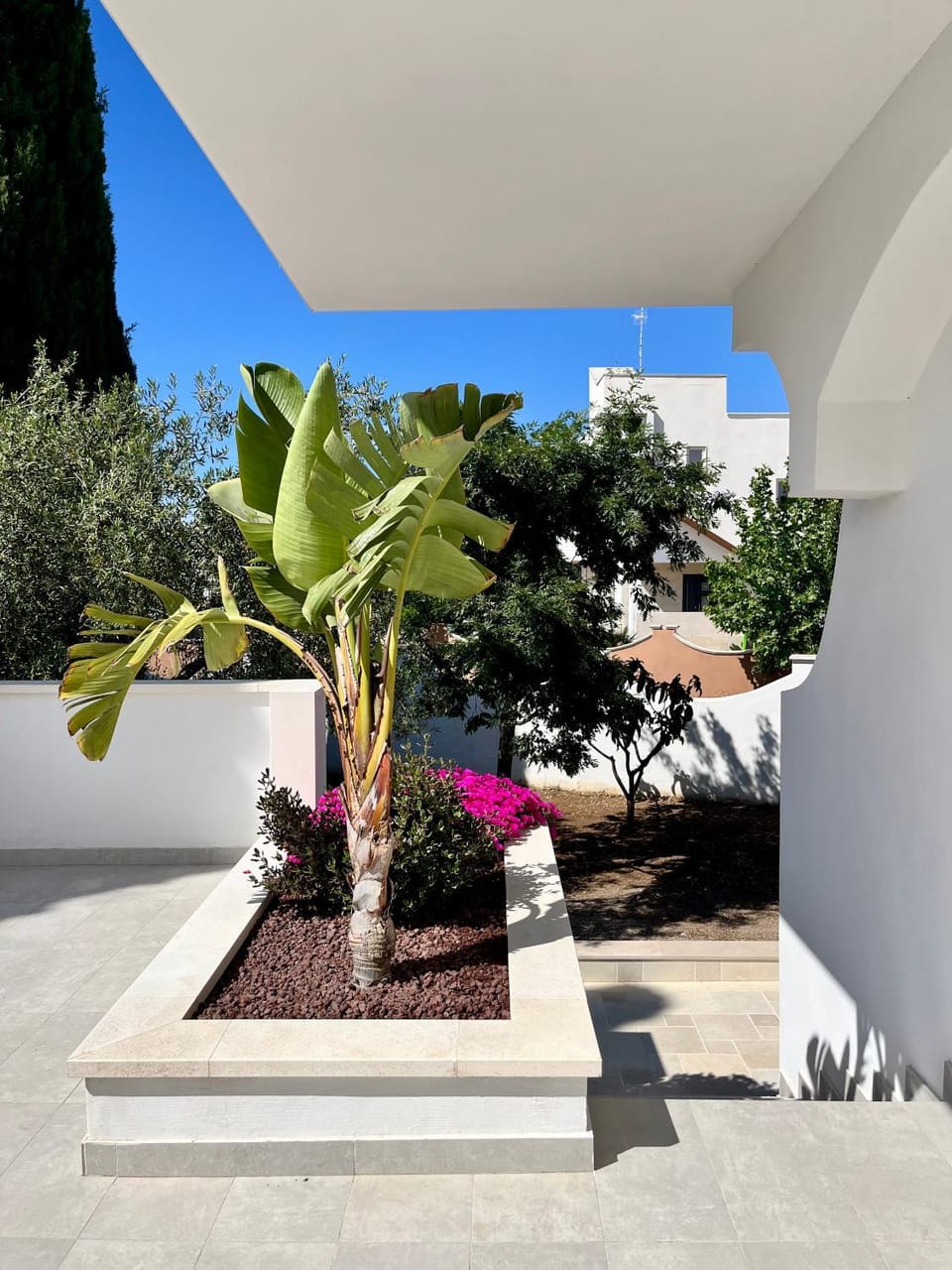 Garden view