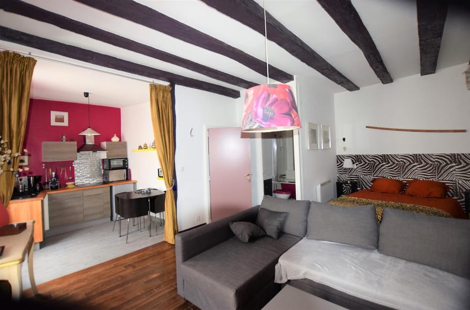 Atypique Apartment in Nouvelle-Aquitaine
