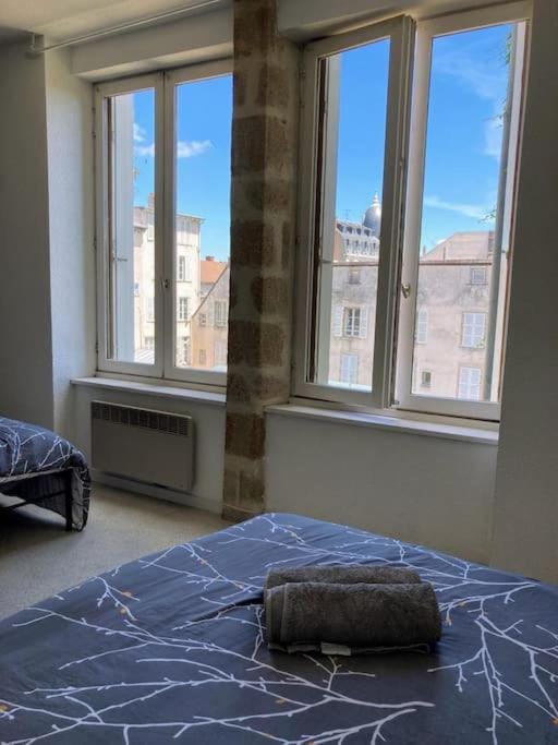 Appartement double dans le centre Apartment in Limoges