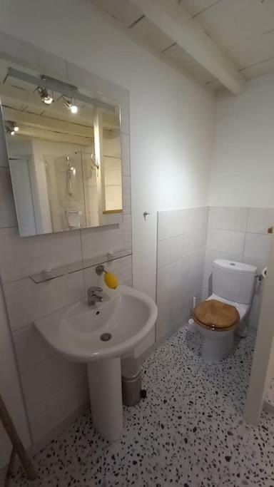 Le Logis de la Tour House in Loudun