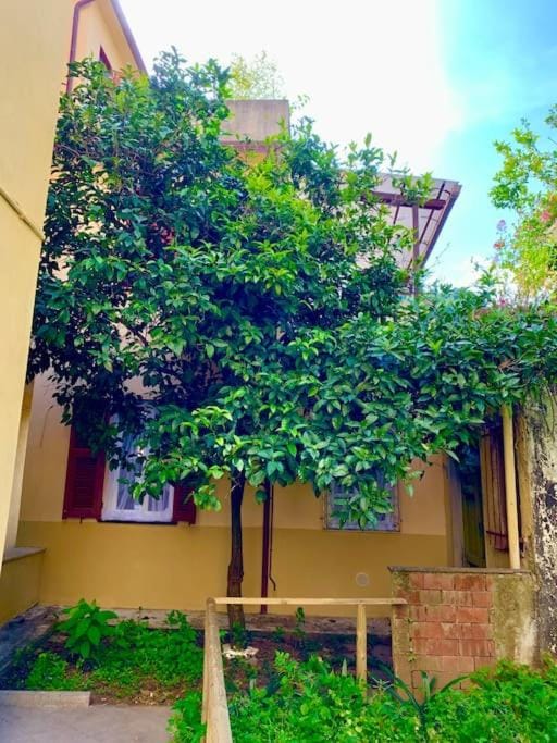 Casetta Ambretta Apartment in Monterosso al Mare