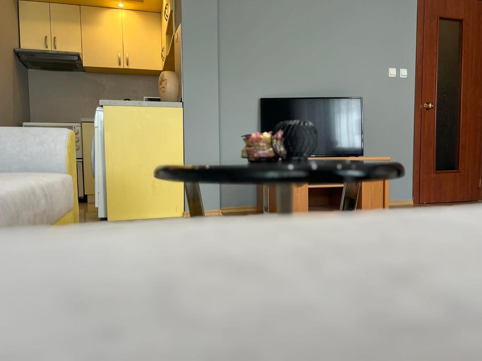 Bed, Kitchen or kitchenette, Photo of the whole room, Dining area, Bedroom, oven, stove