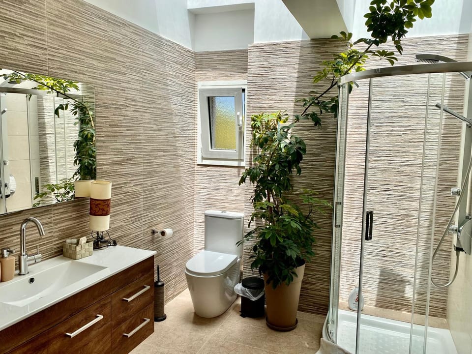 Selini apartment Villa in Islands