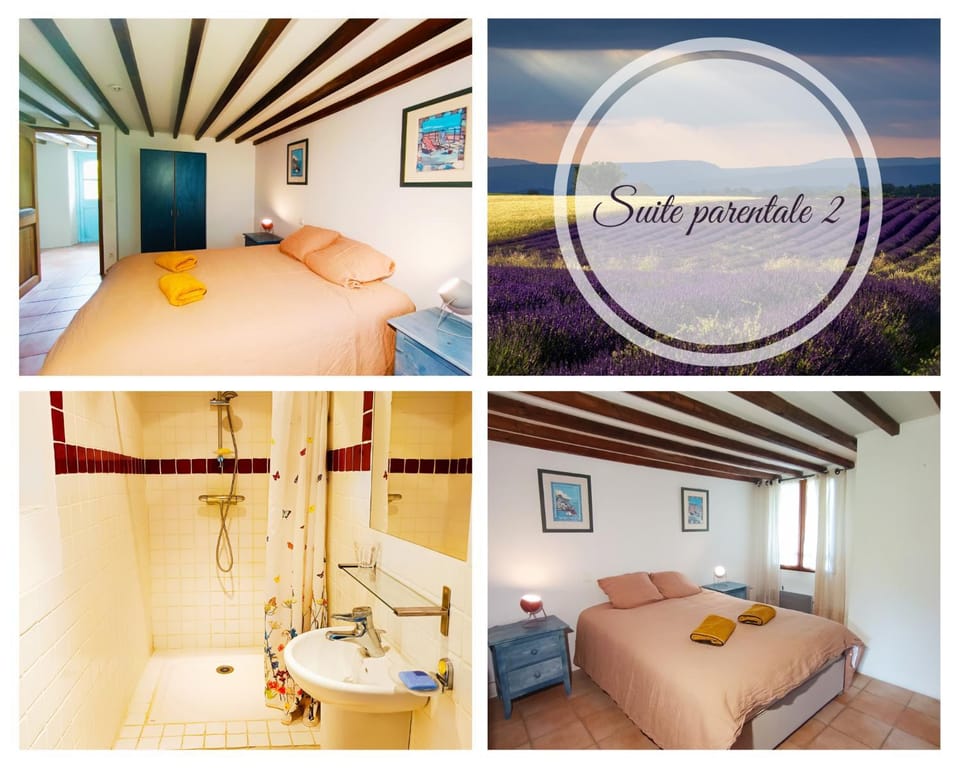 Domaine Provençal "Le Timon" Villa in Forcalquier