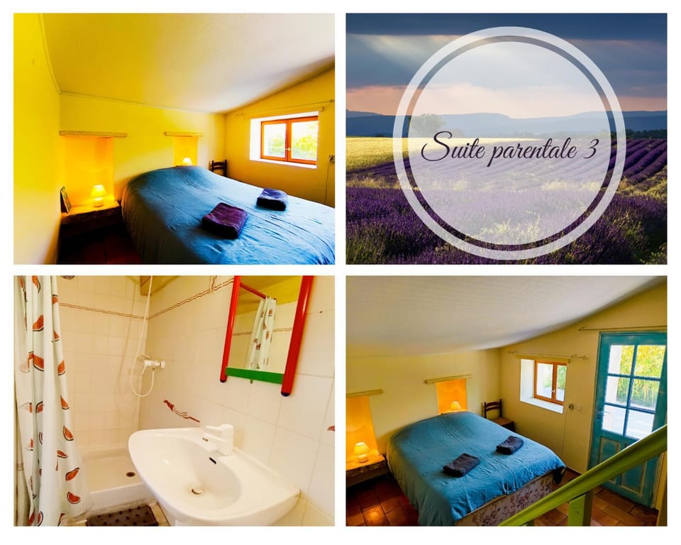 Domaine Provençal "Le Timon" Villa in Forcalquier