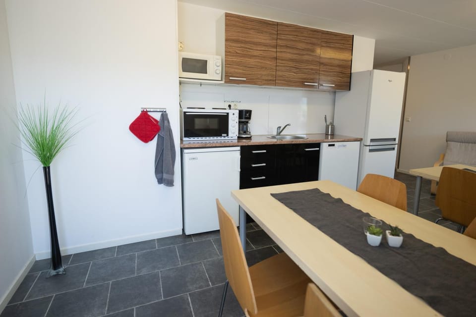 Kitchen or kitchenette, Kitchen or kitchenette, Dining area, dishwasher, oven, stove