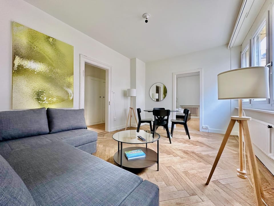 CityCentral 2 bedroom flat near main station Apartment in Zurich City