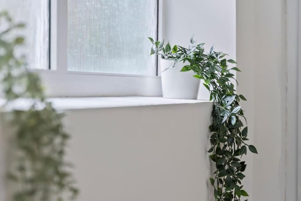 Sapphire Stadium Nest House in Birmingham