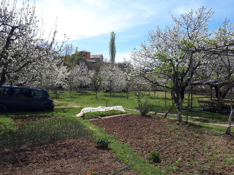 Camping Kapxhiu Bed and Breakfast in North Macedonia