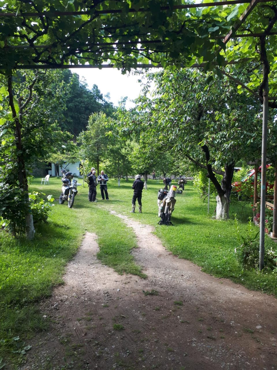 Spring, Day, People, Natural landscape, Garden, Garden view, group of guests