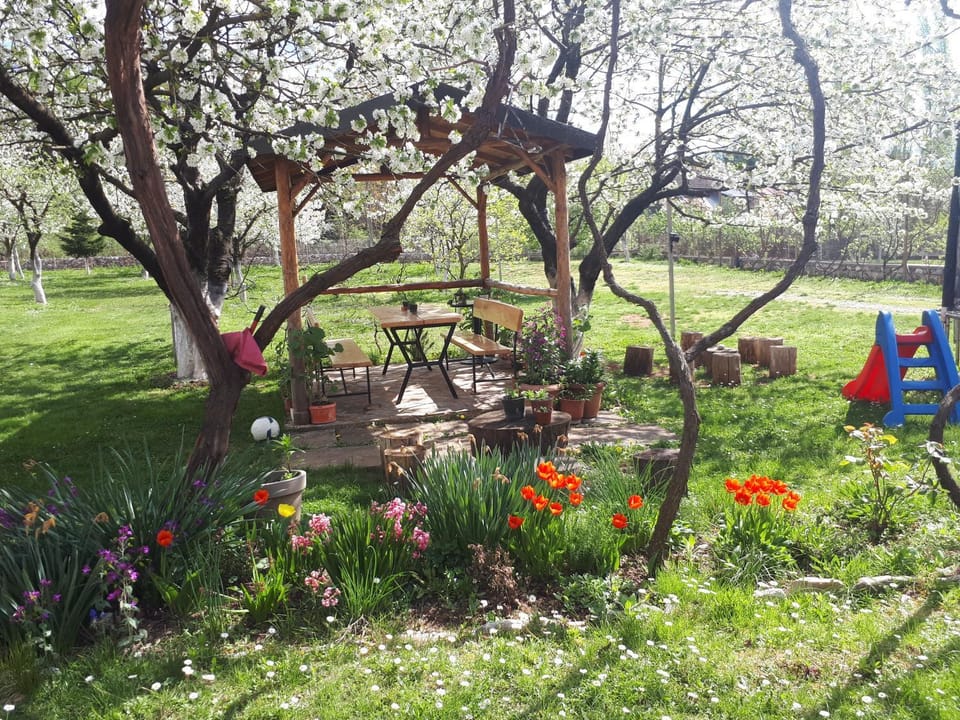 Spring, Natural landscape, Garden