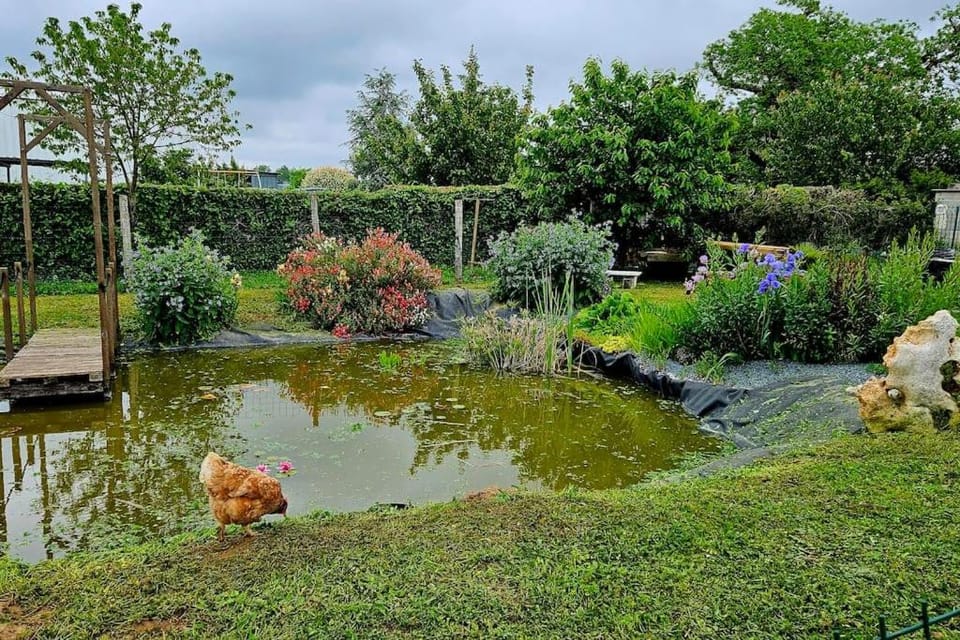 Garden, Garden
