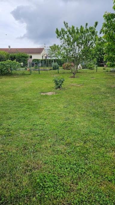 Garden, Garden