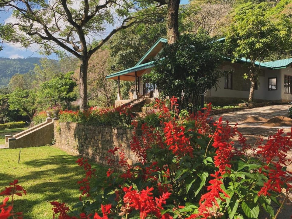 Property building, Natural landscape, Garden, Garden view, Mountain view