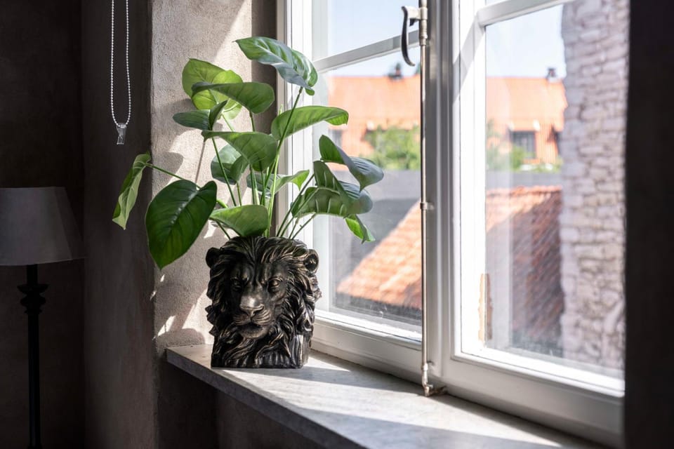 View (from property/room), Decorative detail