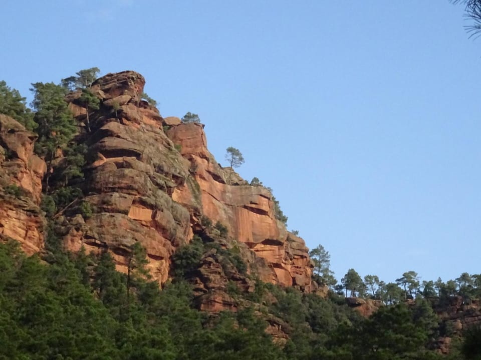 Natural landscape